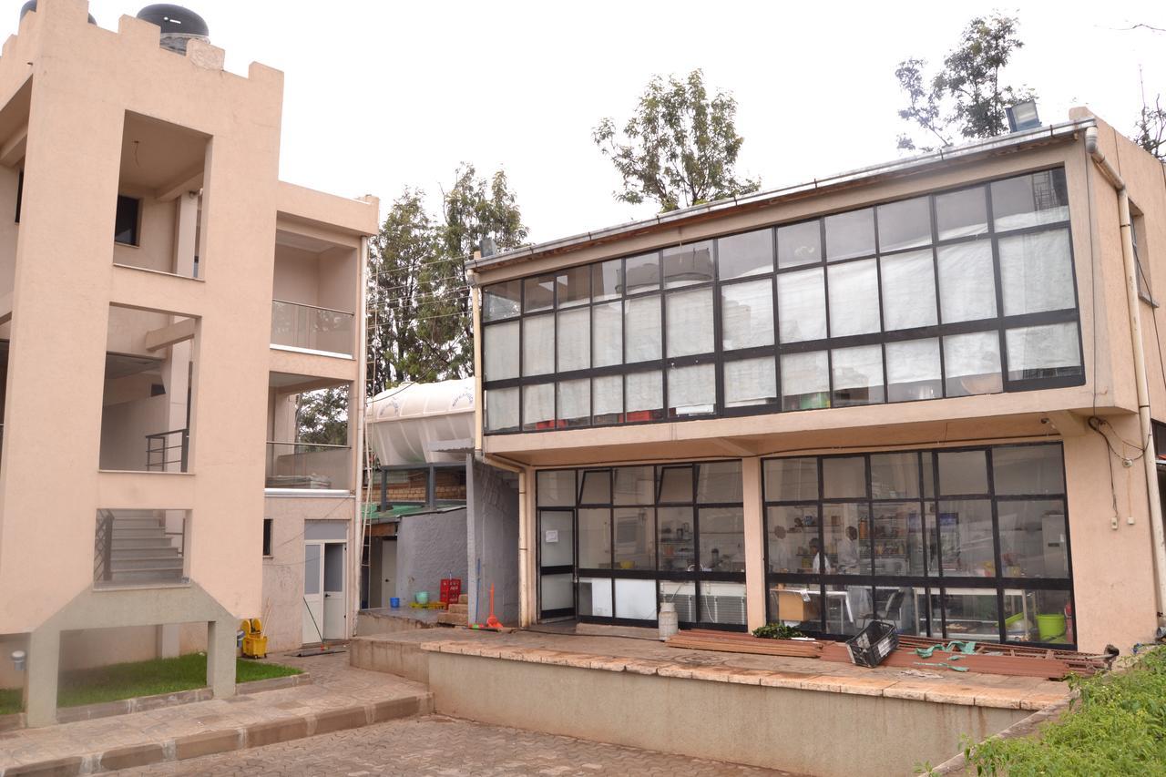 Grand Gato Hotel And Tours Harar Εξωτερικό φωτογραφία